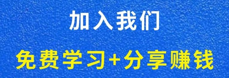 白菜价解锁20000+N个赚钱机会，加入轻创终点站会员，全站资源免费学习。-有点东西