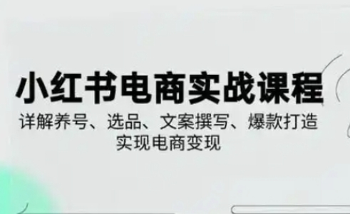 小红书从0-1实操课(2023-2025)，详解养号、选品、文案撰写、爆款打造实现电商变现-有点东西站