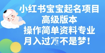小红书宝宝起名项目高级版本,操作简单,资料专业,月入过W-有点东西站