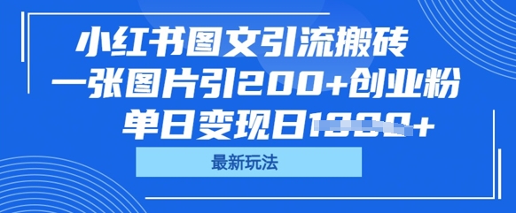 小红书图文引流搬砖，一张图片引200+创业粉，单日变现日数张-有点东西站