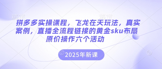 拼多多实操课程,飞龙在天玩法,真实案例,直播全流程链接的黄金sku布局原价操作六个活动-有点东西站
