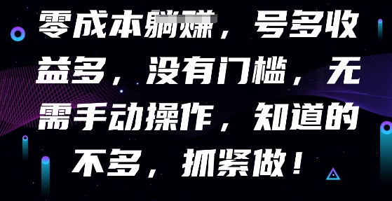 零成本全自动,号多收益多,没有门槛,无需手动-有点东西站