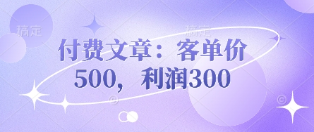 付费文章：客单价500，利润300-有点东西站