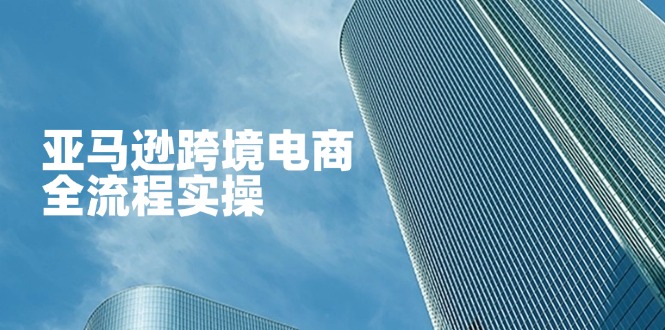 （14252期）亚马逊跨境电商全流程实操，教你从零开始，掌握店铺运营与广告技巧-有点东西站