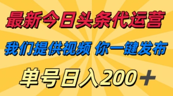 最新今日头条代运营,我们提供视频,你一键发布,单号日入200+【揭秘】-有点东西站