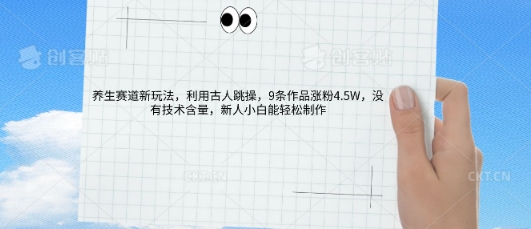 AI养生赛道新玩法，10条作品涨粉5.2W，操作简单，新人小白能轻松制作-有点东西站