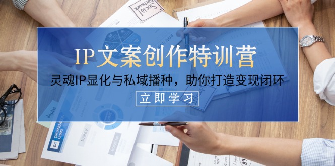 (14330期)IP文案创作特训营,灵魂IP显化与私域播种,助你打造变现闭环(14节课)-有点东西站