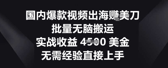 国内爆款视频出海挣美刀，批量无脑搬运，实战收益4.5k，无需经验直接上手-有点东西站
