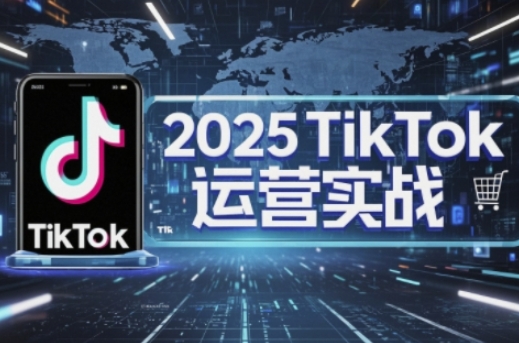 2025TikTok电商运营,掌握TikTok店铺运营核心技巧,实现低成本高转化-有点东西站