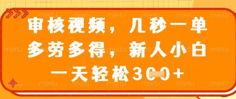 最新审核视频，几秒一单，多劳多得，新人小白一天轻松3张【揭秘】-有点东西站