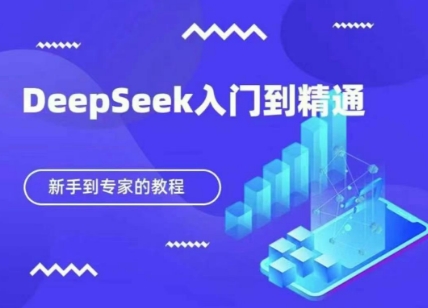 DeepSeek快速从入门到精通，新手的保姆级教程-有点东西站