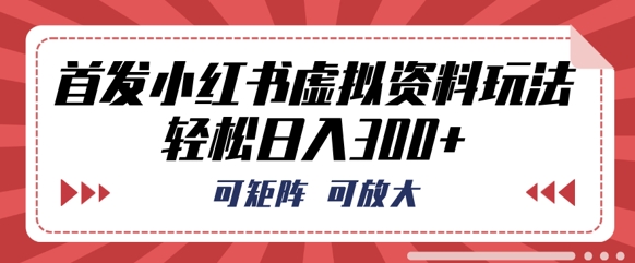 首发小红书虚拟资料玩法，可矩阵，可放大，轻松日入3张-有点东西站