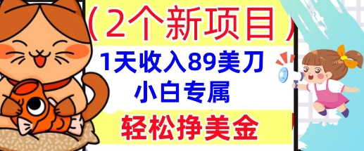 2个新项目，轻松挣美金， 1天收入89美刀，小白专属，干货分享-有点东西站