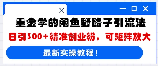 重金学的闲鱼野路子引流法,日引300+精准创业粉,可矩阵放大-有点东西站