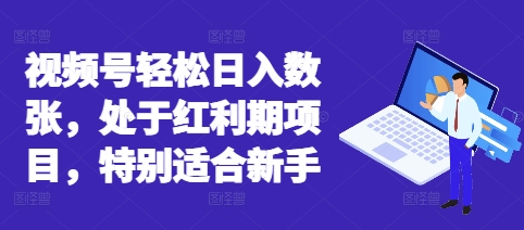 视频号轻松日入数张,处于红利期项目,特别适合新手-有点东西站