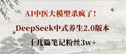 AI中医大模型杀疯了！DeepSeek中式养生2.0版本，十几篇笔记粉丝3w+-有点东西站