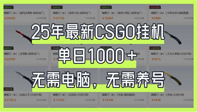 (14178期)25年最新CSGO挂机系统,单日1000+,无需电脑,无需养号,0基础可上手-有点东西站