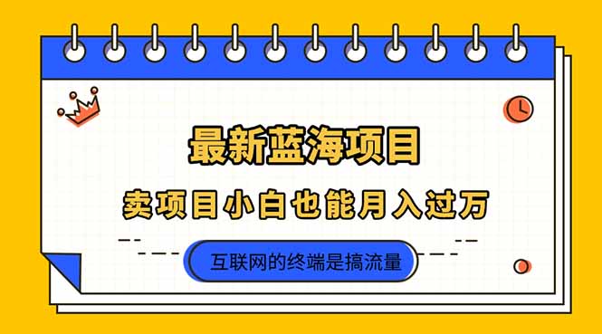 （14289期）2025年最新蓝海项目，卖项目小白也能月入过万-有点东西站