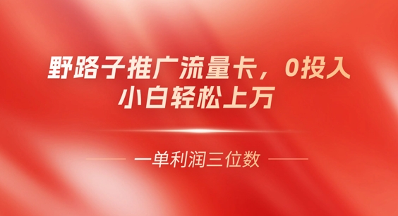 0门槛推广流量卡,一单收益上百,0投入,小白月入过W-有点东西站