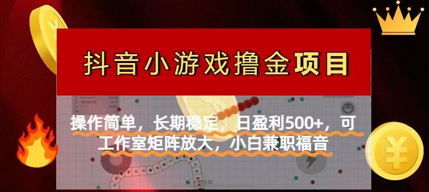 （14290期）【抖音小游戏发行人计划项目】操作简单，长期稳定，日盈利500+，可工作...-有点东西站