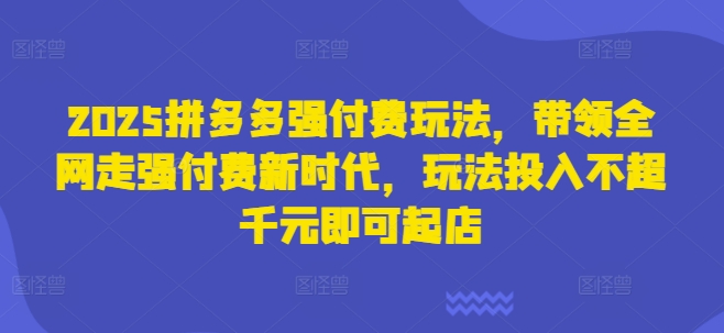 2025拼多多强付费玩法，带领全网走强付费新时代，玩法投入不超千元即可起店-有点东西站