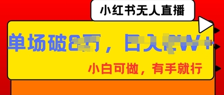 小红书无人直播，纯小白可做，有手就行，单场直播销售额破8w-有点东西站