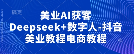 美业AI获客Deepseek+数字人-抖音美业教程电商教程-有点东西站