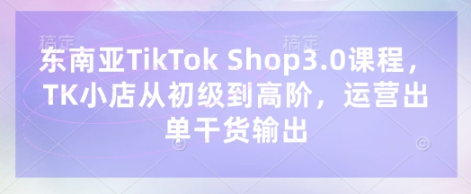 东南亚TikTok Shop3.0课程，TK小店​从初级到高阶，运营出单干货输出-有点东西站