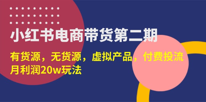 （14186期）小红书电商带货第二期，有货源，无货源，虚拟产品，付费投流，月利润20w-有点东西站