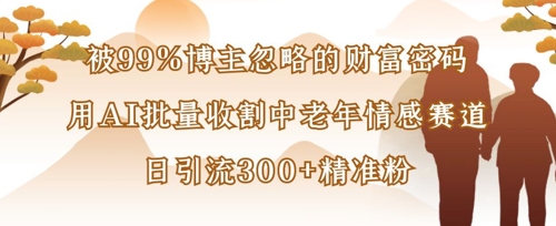 被99%博主忽略的财富密码:用AI批量收割中老年情感赛道,日引流300+精准粉-有点东西站