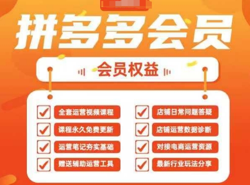 2025拼多多运营实战课,40节全流程教学,覆盖拼多多运营全链路-有点东西站