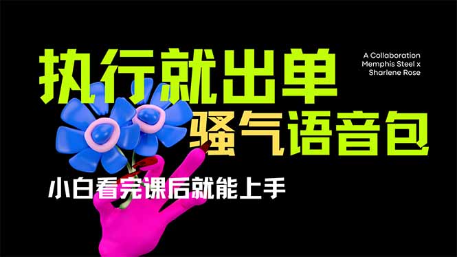 (14170期)爆火全网的开车导航骚气语音包,只要执行就出单,小白看完课程就能实操...-有点东西站