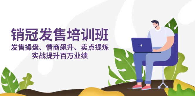 (14203期)销冠 发售培训班:发售 操盘+情商 飙升+卖点 提炼,实战提升百万业绩-有点东西站