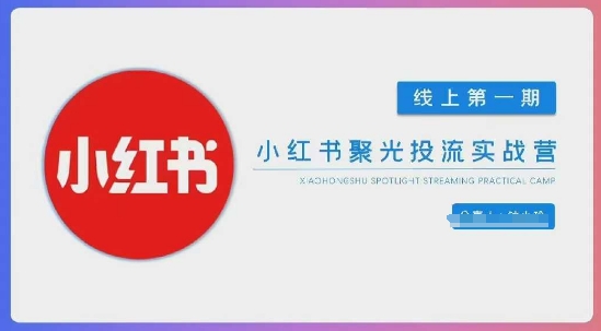小红书聚光陪跑第一期,教你从0到1玩转小红书聚光投流,搭建小红书付费投流团队,更快的见到效果-有点东西站