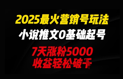 2025最火营销号玩法：小说推文0基础起号，7天涨粉5000，收益轻松破k-有点东西站