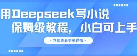 用Deepseek写小说，保姆级教程，小白可实操-有点东西站