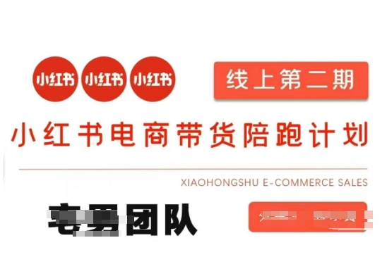 小红书电商带货课2期，月利润20个的小红书电商的有货源，无货源，虚拟产品，付费投流等整套玩法-有点东西站