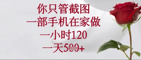 你只管截图，一部手机在家操作，一小时120.一天5张【揭秘】-有点东西站